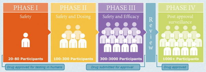 Clinical Trial phases